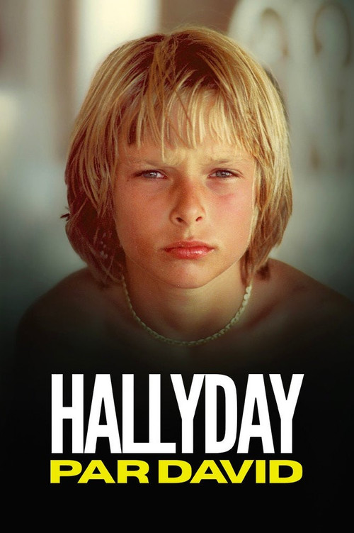 Hallyday par David (2025) poster