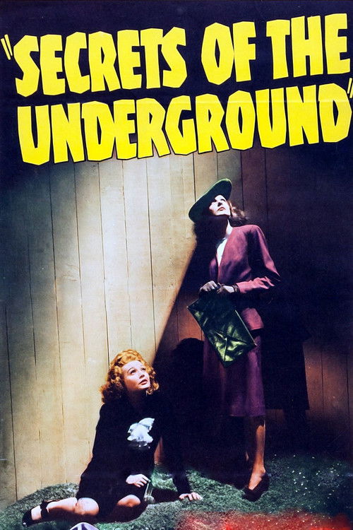 Secrets of the Underground (1942) poster