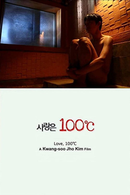 사랑은 100℃ (2010) poster