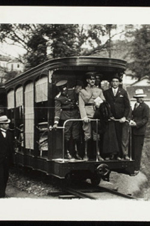 Visita do Rei Alberto da Bélgica (1920) poster