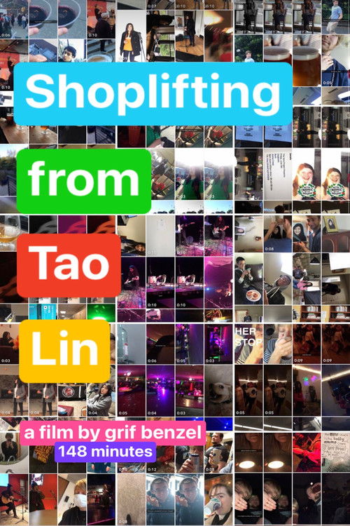 Shoplifting from Tao Lin (2023) poster