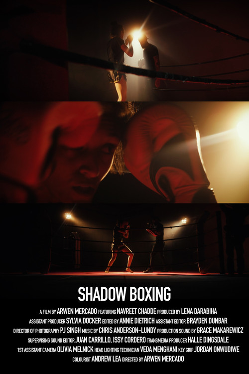 Shadow Boxing (2024) poster