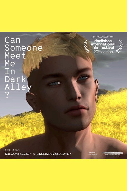 Can Someone Meet Me in Dark Alley? (2022) poster