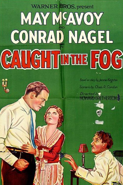 Caught in the Fog (1928) poster