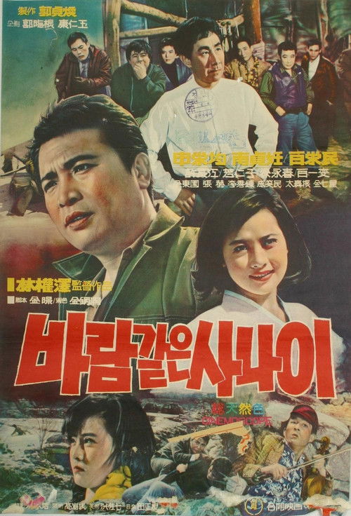 A Man Like the Wind (1968) poster