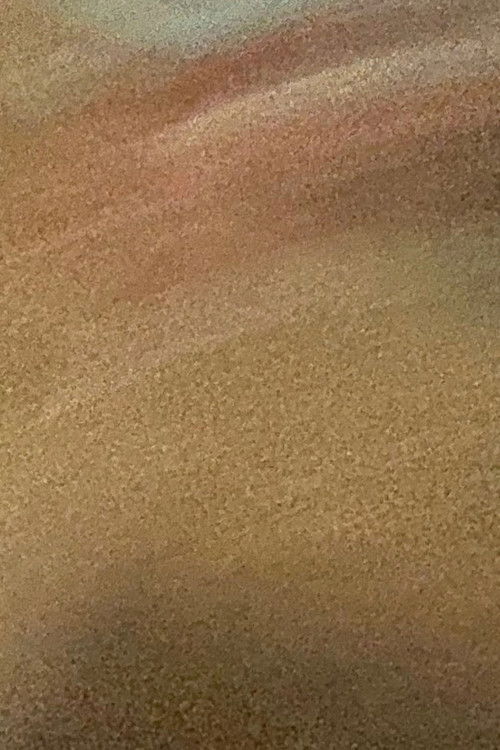 Revolver (2024) poster