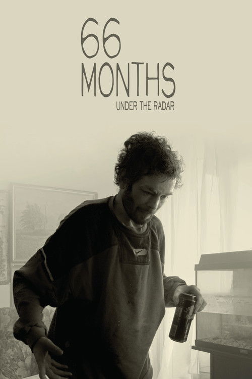 66 Months (2011) poster