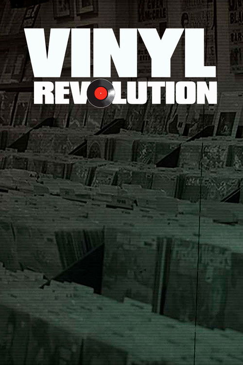 Vinyl Revolution poster