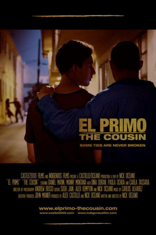 The Cousin (2008) poster