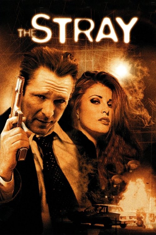The Stray (2000) poster