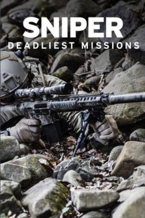 Sniper: Deadliest Missions (2010) poster