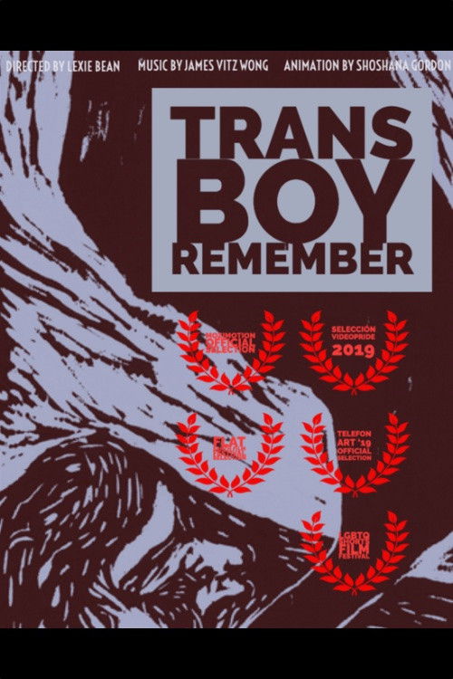Trans Boy Remember (2019) poster