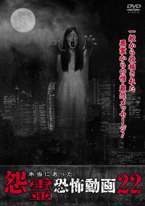 Real Vengeful Ghost Horror Video 22 (2017) poster