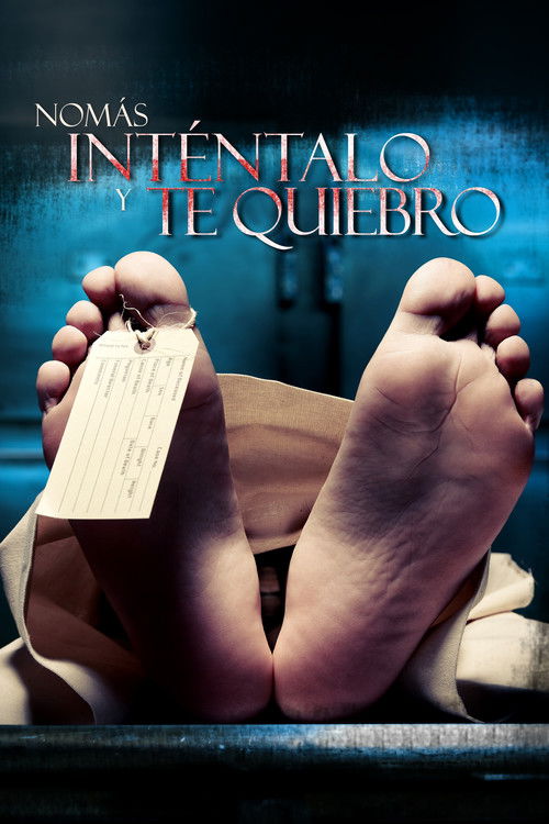 Nomás inténtalo y te quiebro (2013) poster