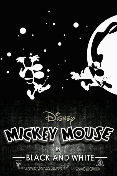 Black and White (2015) poster