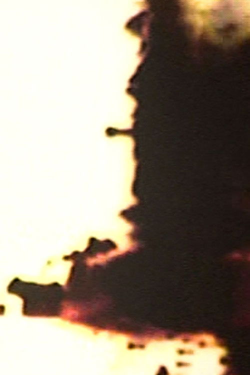 Pornogriffith (2004) poster