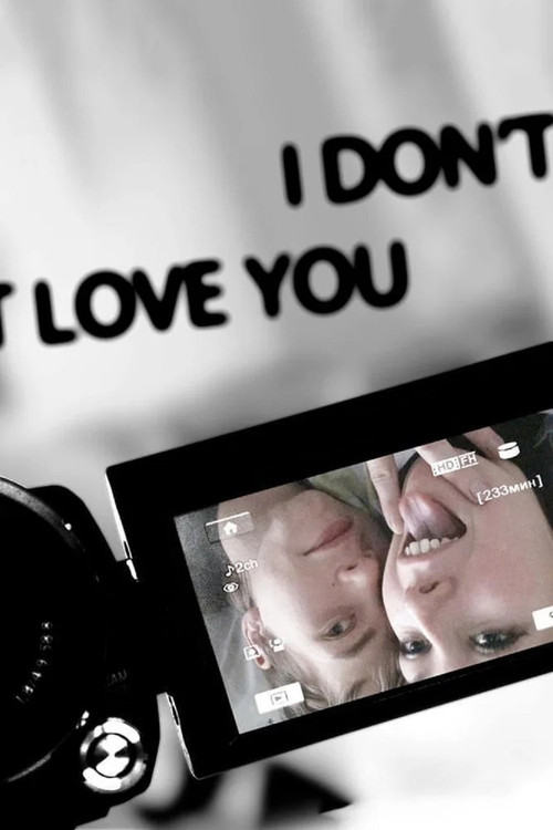 I Don't Love You (2012) poster