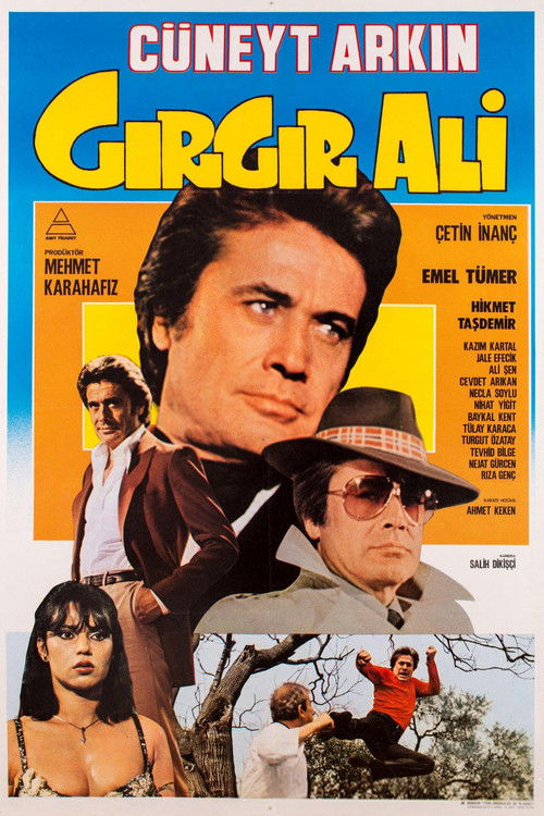 Gırgır Ali (1982) poster