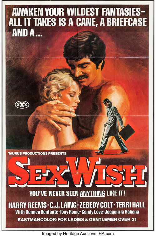 Sex Wish (1976) poster
