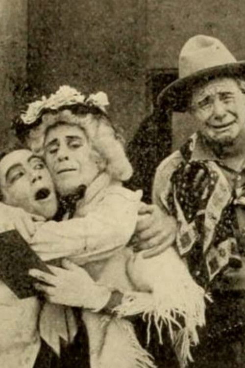 Town Hall, Tonight (1911) poster