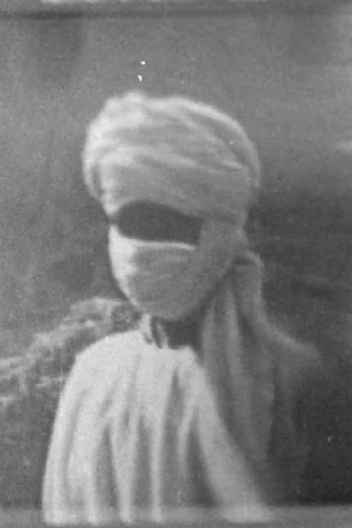 from zoom #1 (2018) poster