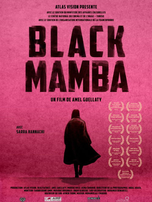 Black Mamba (2017) poster