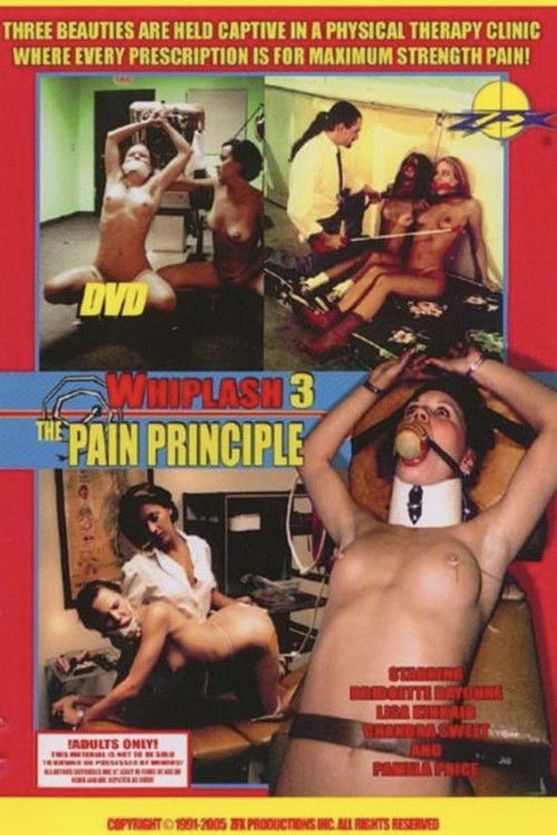 Whiplash 3: The Pain Principle (1998) poster