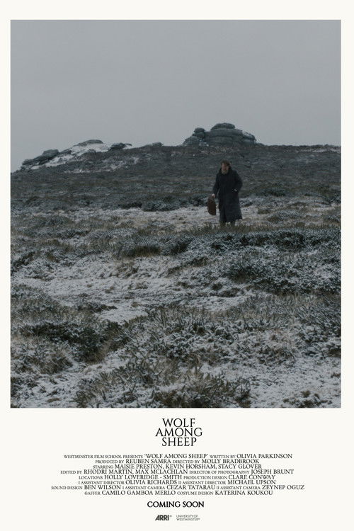 Wolf Among Sheep (2018) poster