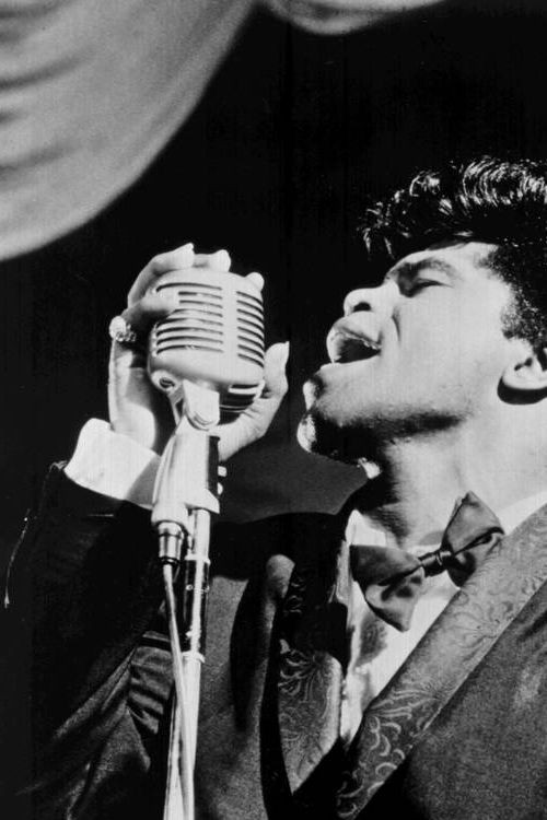 Mr Brown (2008) poster