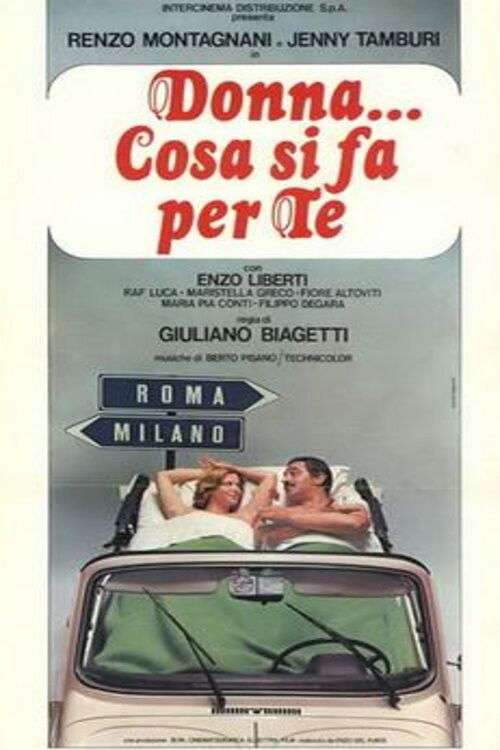Donna... cosa si fa per te (1976) poster