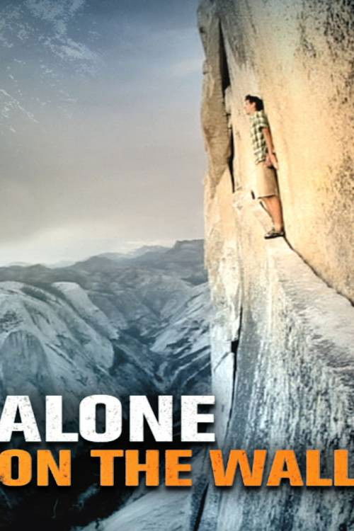 Alone on the Wall (2010) poster