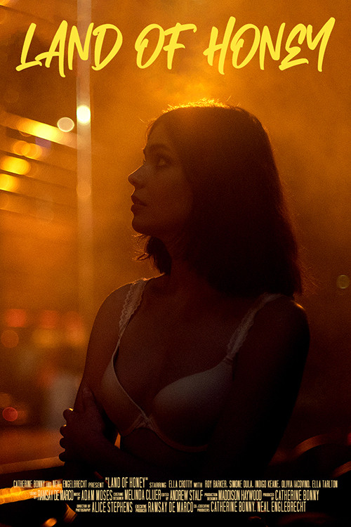 Land of Honey (2019) poster