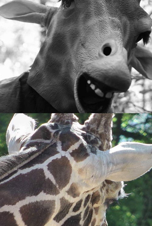 Tales of a Future Past (2017) poster