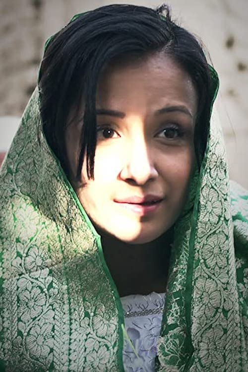 The Icy Sun (2013) poster