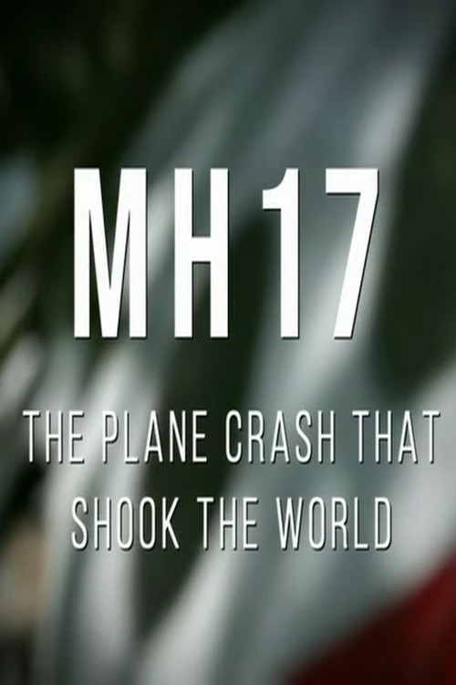 MH17: The Plane Crash That Shook The World (2024) poster