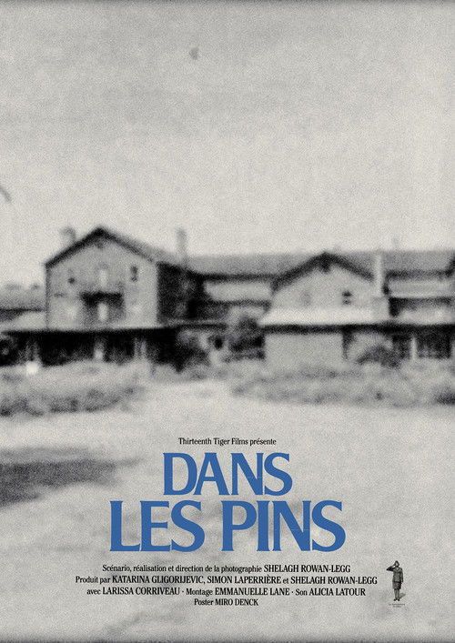 Among the Pines poster