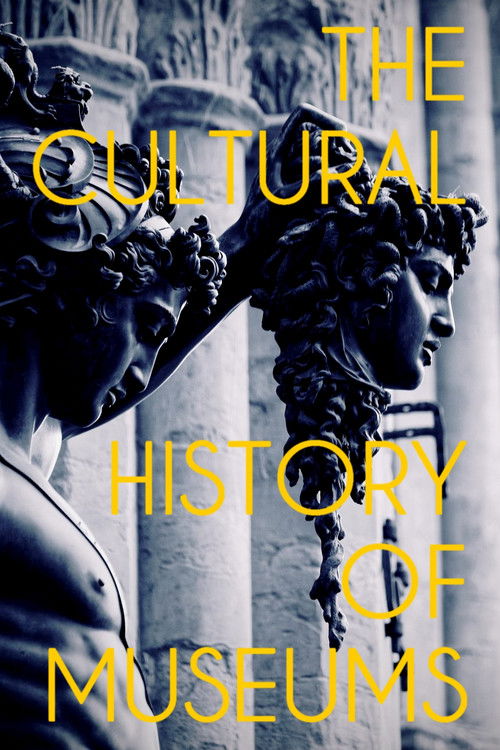 The Cultural History of Museums (2022) poster