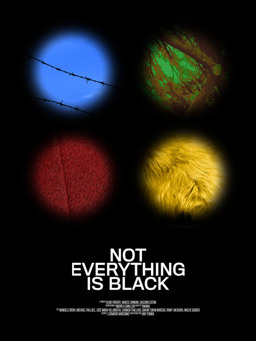 Not Everything Is Black (2019) poster