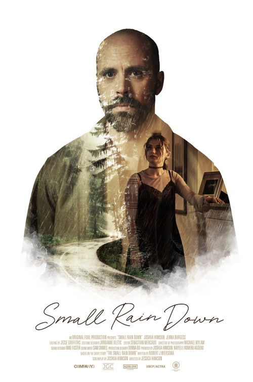 Small Rain Down (2024) poster