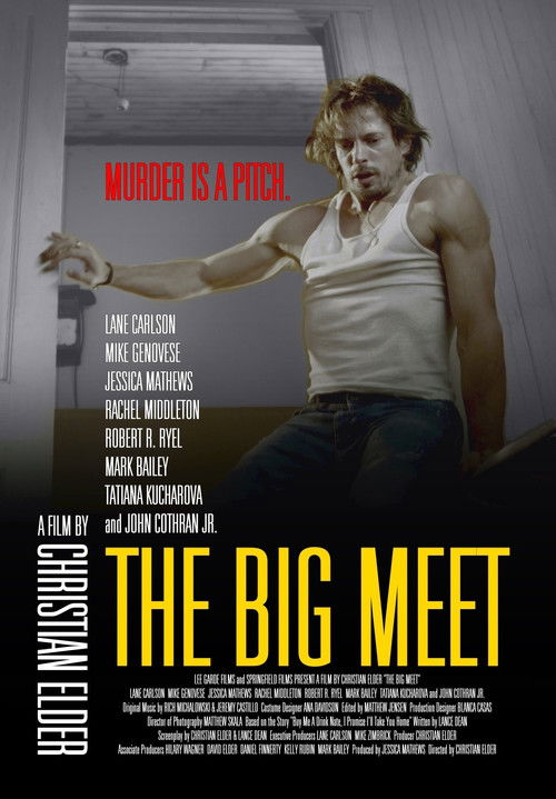 The Big Meet (2013) poster