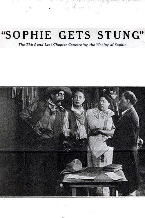Sophie Gets Stung (1914) poster