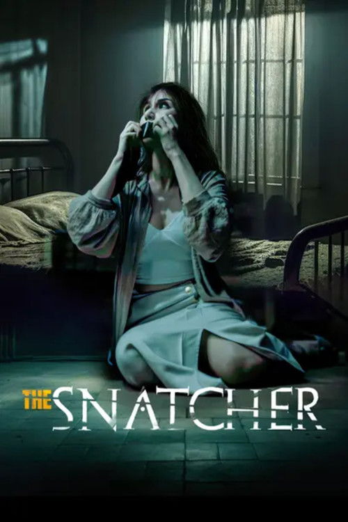 The Snatcher (2024) poster