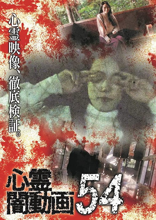 Psychic Darkness Video 54 (2021) poster