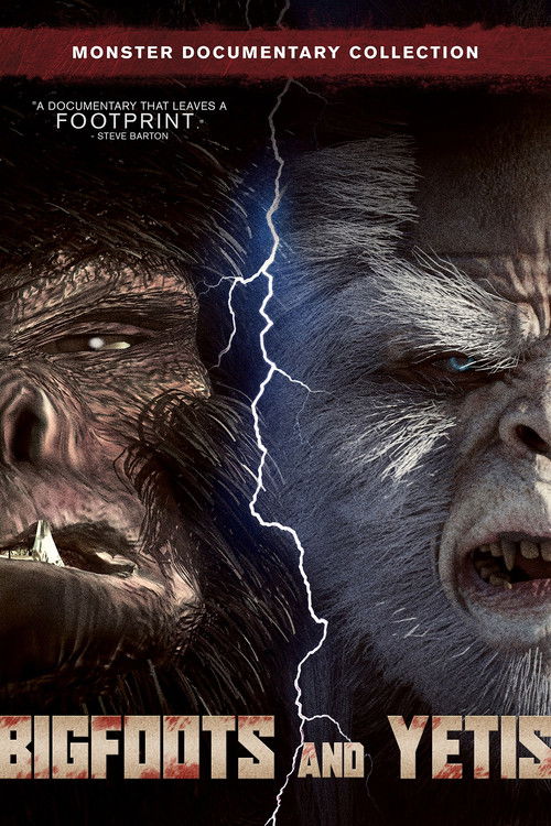 Bigfoots and Yetis (2021) poster
