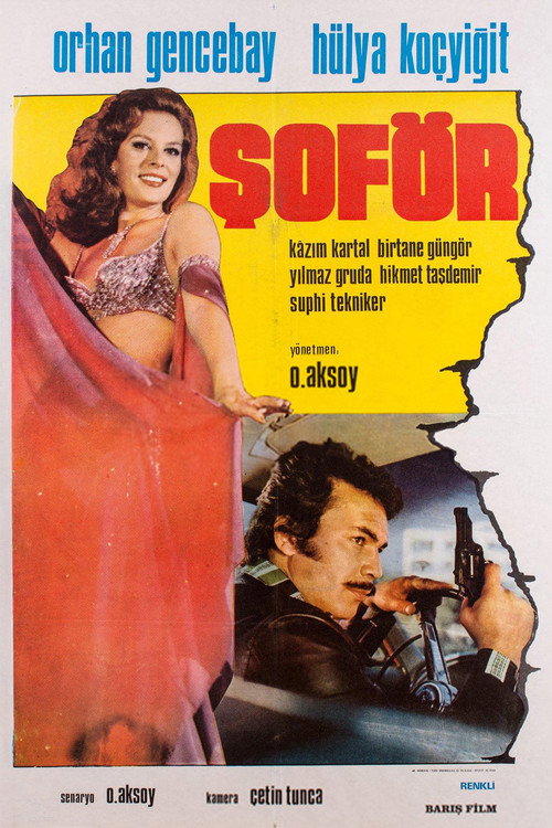 Şoför (1976) poster