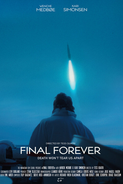 Final Forever (2022) poster