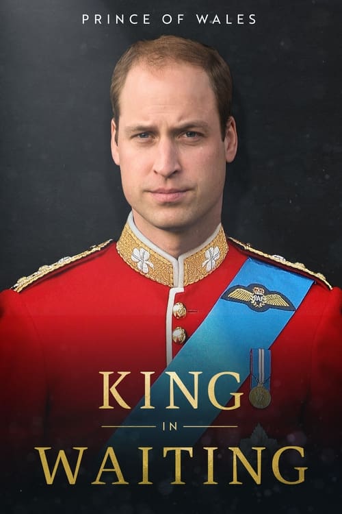 Prince of Wales: King in Waiting (2023) poster