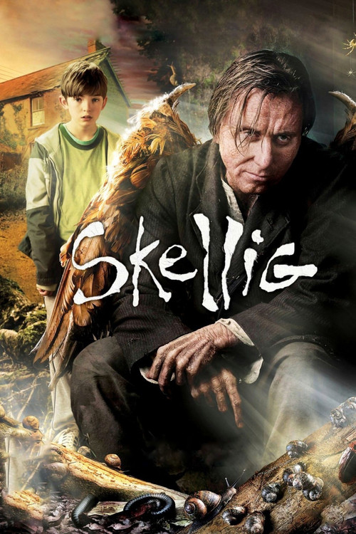 Skellig (2009) poster