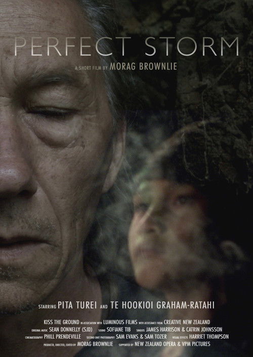 Perfect Storm (2021) poster