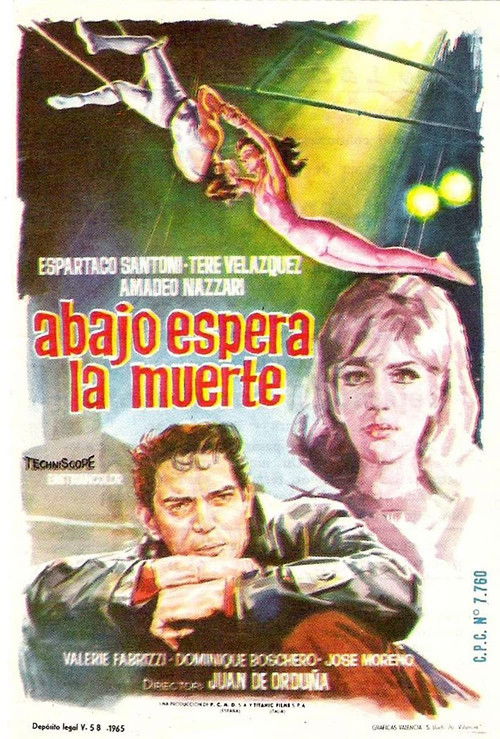 Delitto d'amore (1966) poster